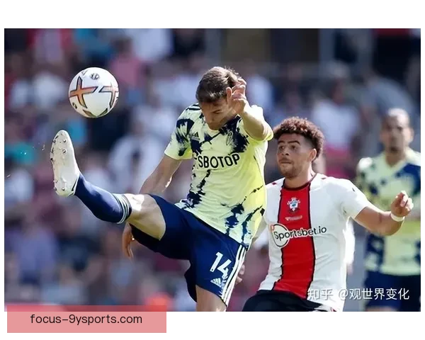 南安普顿俱乐部百年征程与英超荣耀梦想全景解析传奇风云与未来蓝图展望