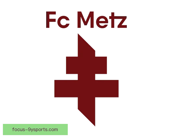 梅斯俱乐部精彩活动与会员独享体验全面揭秘