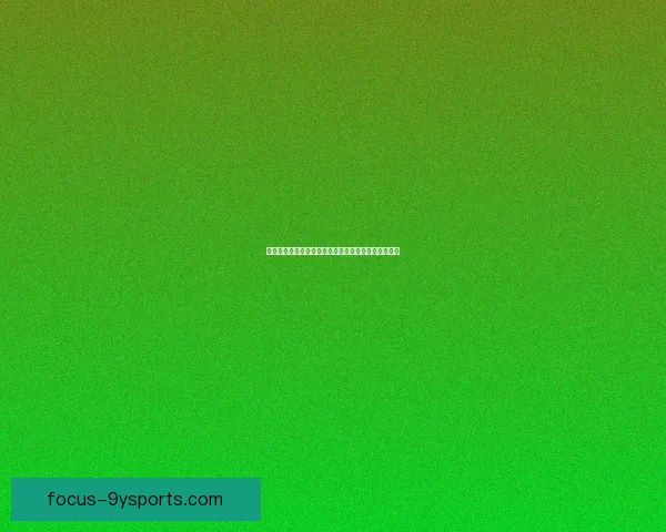 普鲁士门兴格拉德巴赫俱乐部辉煌历程与现代发展解析